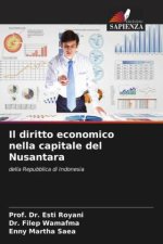 Il diritto economico nella capitale del Nusantara