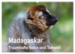 Madagaskar. Traumhafte Natur und Tierwelt (Wandkalender 2024 DIN A2 quer), CALVENDO Monatskalender