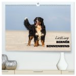 Liebling BERNER SENNENHUND (hochwertiger Premium Wandkalender 2024 DIN A2 quer), Kunstdruck in Hochglanz
