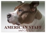 American Staff und Co. (Wandkalender 2024 DIN A4 quer), CALVENDO Monatskalender