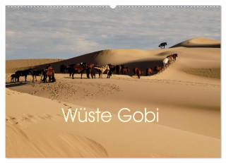 Wüste Gobi (Wandkalender 2024 DIN A2 quer), CALVENDO Monatskalender