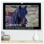 Garranos - Bedrohte Wildpferde Europas (hochwertiger Premium Wandkalender 2024 DIN A2 quer), Kunstdruck in Hochglanz