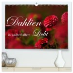 Dahlien in zauberhaftem Licht (hochwertiger Premium Wandkalender 2024 DIN A2 quer), Kunstdruck in Hochglanz