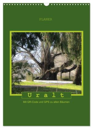 Uralt - Mit QR-Code und GPS zu alten Bäumen (Wandkalender 2024 DIN A3 hoch), CALVENDO Monatskalender