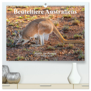 Beuteltiere Australiens (hochwertiger Premium Wandkalender 2024 DIN A2 quer), Kunstdruck in Hochglanz