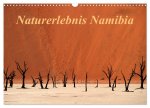 Naturerlebnis Namibia (Wandkalender 2024 DIN A3 quer), CALVENDO Monatskalender