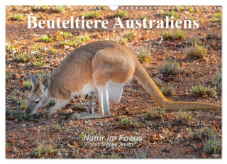 Beuteltiere Australiens (Wandkalender 2024 DIN A3 quer), CALVENDO Monatskalender