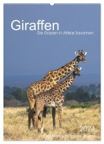 Giraffen - Die Grazien in Afrikas Savannen (Wandkalender 2024 DIN A2 hoch), CALVENDO Monatskalender