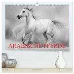 Arabische Pferde (hochwertiger Premium Wandkalender 2024 DIN A2 quer), Kunstdruck in Hochglanz