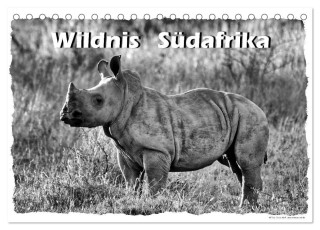 Wildnis Südafrika (Tischkalender 2024 DIN A5 quer), CALVENDO Monatskalender