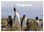 Pinguine in Patagonien (Wandkalender 2024 DIN A2 quer), CALVENDO Monatskalender