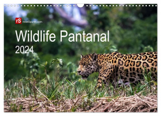 Wildlife Pantanal 2024 (Wandkalender 2024 DIN A3 quer), CALVENDO Monatskalender