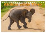 Afrikas wilde Tiere (Tischkalender 2024 DIN A5 quer), CALVENDO Monatskalender