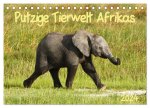Putzige Tierwelt Afrikas (Tischkalender 2024 DIN A5 quer), CALVENDO Monatskalender