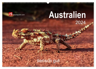 Australien tierisch gut 2024 (Wandkalender 2024 DIN A2 quer), CALVENDO Monatskalender