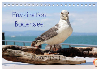 Faszination Bodensee (Tischkalender 2024 DIN A5 quer), CALVENDO Monatskalender