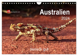 Australien tierisch gut 2024 (Wandkalender 2024 DIN A4 quer), CALVENDO Monatskalender