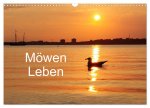 Möwen Leben (Wandkalender 2024 DIN A3 quer), CALVENDO Monatskalender