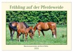 Frühling auf der Pferdeweide (Wandkalender 2024 DIN A3 quer), CALVENDO Monatskalender