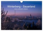 Winterberg - Sauerland - Eine Landschaft in Bildern (Wandkalender 2024 DIN A4 quer), CALVENDO Monatskalender
