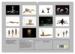 FREMDE WESEN / BODYPAINTING & PHOTOGRAPHY FRU.CH (hochwertiger Premium Wandkalender 2024 DIN A2 quer), Kunstdruck in Hochglanz