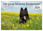 Der graue Deutsche Schäferhund (Wandkalender 2024 DIN A2 quer), CALVENDO Monatskalender