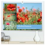 Mohnblumen (hochwertiger Premium Wandkalender 2024 DIN A2 quer), Kunstdruck in Hochglanz