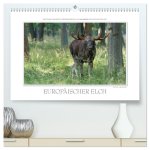 Emotionale Momente: Europäischer Elch. / CH-Version (hochwertiger Premium Wandkalender 2024 DIN A2 quer), Kunstdruck in Hochglanz