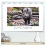 Emotionale Momente: Das Wildschwein. / CH-Version (hochwertiger Premium Wandkalender 2024 DIN A2 quer), Kunstdruck in Hochglanz