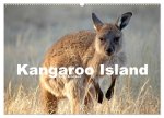 Kangaroo Island (Wandkalender 2024 DIN A2 quer), CALVENDO Monatskalender
