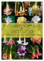 Brugmansia & Datura - Exotische Schönheiten (Wandkalender 2024 DIN A2 hoch), CALVENDO Monatskalender