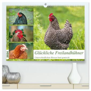Glückliche Freilandhühner (hochwertiger Premium Wandkalender 2024 DIN A2 quer), Kunstdruck in Hochglanz