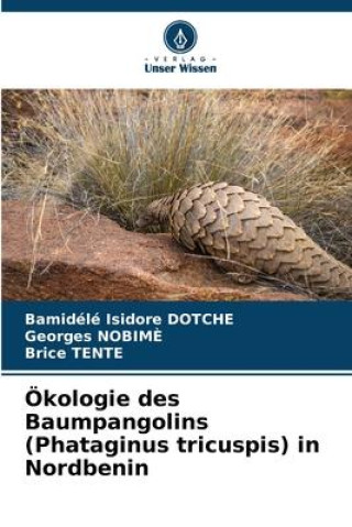 Ökologie des Baumpangolins (Phataginus tricuspis) in Nordbenin