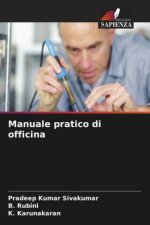 Manuale pratico di officina