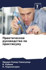 Prakticheskoe rukowodstwo po praktikumu