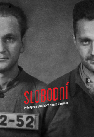 Slobodnďż˝ DVD