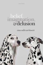 Belief, Imagination, and Delusion (Hardback)