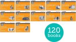 Read Write Inc. Phonics: Orange Set 4 More Black & White Storybooks (Pack of 120)  (Paperback)