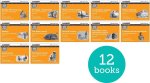 Read Write Inc. Phonics: Orange Set 4 More Black & White Storybooks (Pack of 12)  (Paperback)