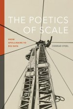 The Poetics of Scale: From Apollinaire to Big Data