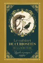 Petit précieux Cabinet de curiosité de la sorcière
