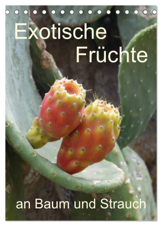 Exotische Früchte an Baum und Strauch (Tischkalender 2024 DIN A5 hoch), CALVENDO Monatskalender
