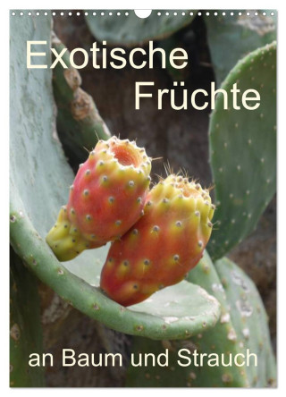 Exotische Früchte an Baum und Strauch (Wandkalender 2024 DIN A3 hoch), CALVENDO Monatskalender