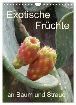 Exotische Früchte an Baum und Strauch (Wandkalender 2024 DIN A4 hoch), CALVENDO Monatskalender