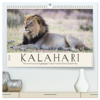 Kalahari - Tierreichtum im Kgalagadi Transfrontier Park, Südafrika (hochwertiger Premium Wandkalender 2024 DIN A2 quer), Kunstdruck in Hochglanz