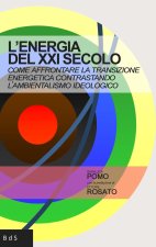 energia del XXI secolo. Come affrontare la transizione energetica contrastando l'ambientalismo ideologico
