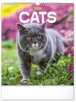 Kočky 2024 - nástěnný kalendář