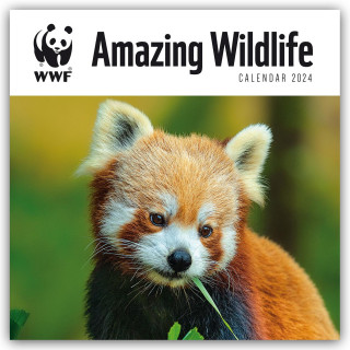 WWF Amazing Wildlife - Faszinierende Tierwelt 2024