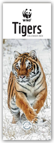 WWF Tigers - Tiger 2024 - Slimline-Kalender