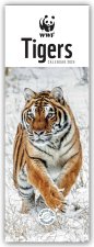 WWF Tigers - Tiger 2024 - Slimline-Kalender